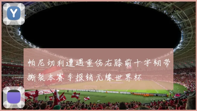 帕尼切利遭遇重伤右膝前十字韧带撕裂本赛季报销无缘世界杯